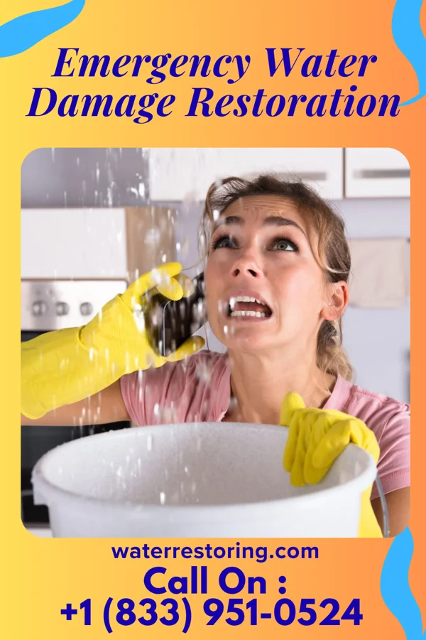 Emergency Water Damage Restoration in Linneus, MO