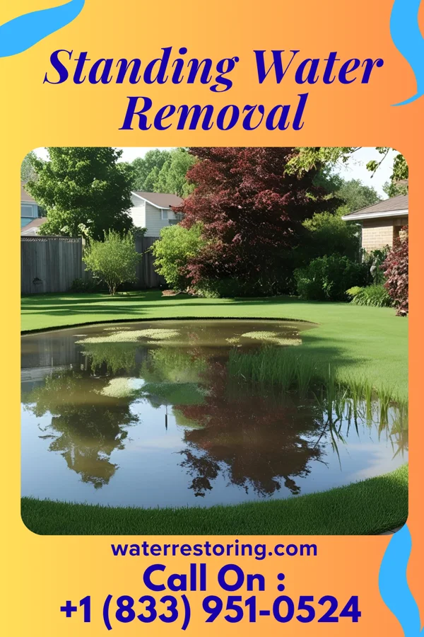 Standing Water Removal in Linneus, MO